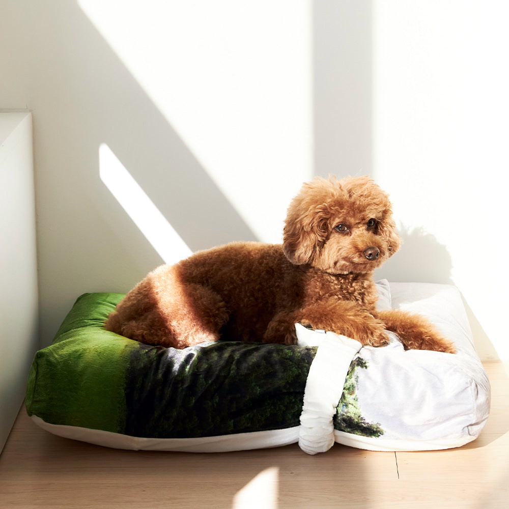 Jeju orrum pet cushion