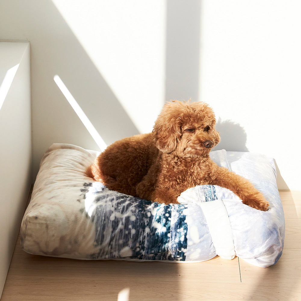 Jeju westcoast pet cushion