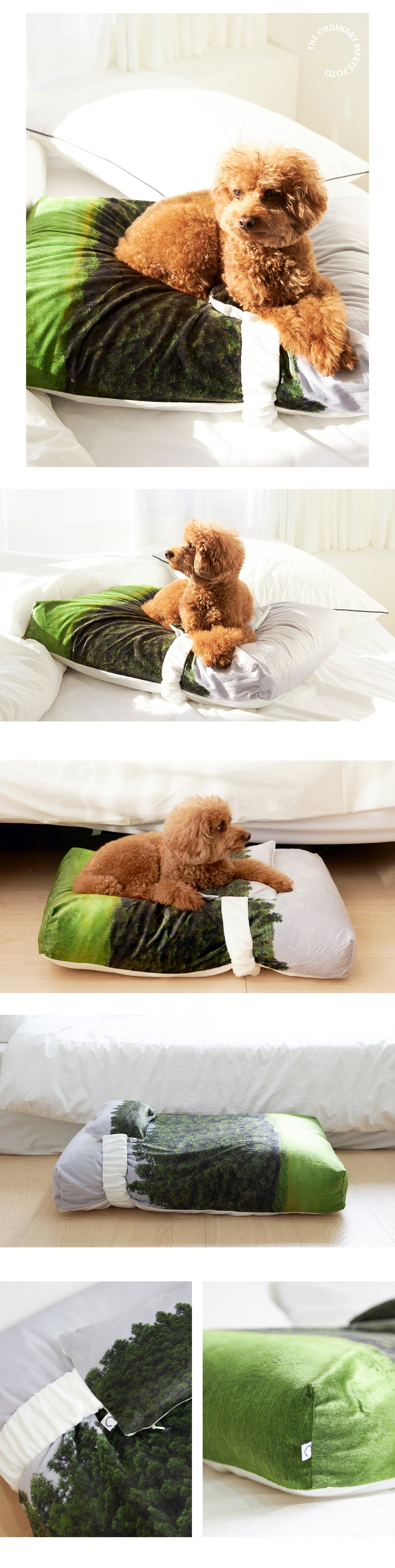 Jeju orrum pet cushion