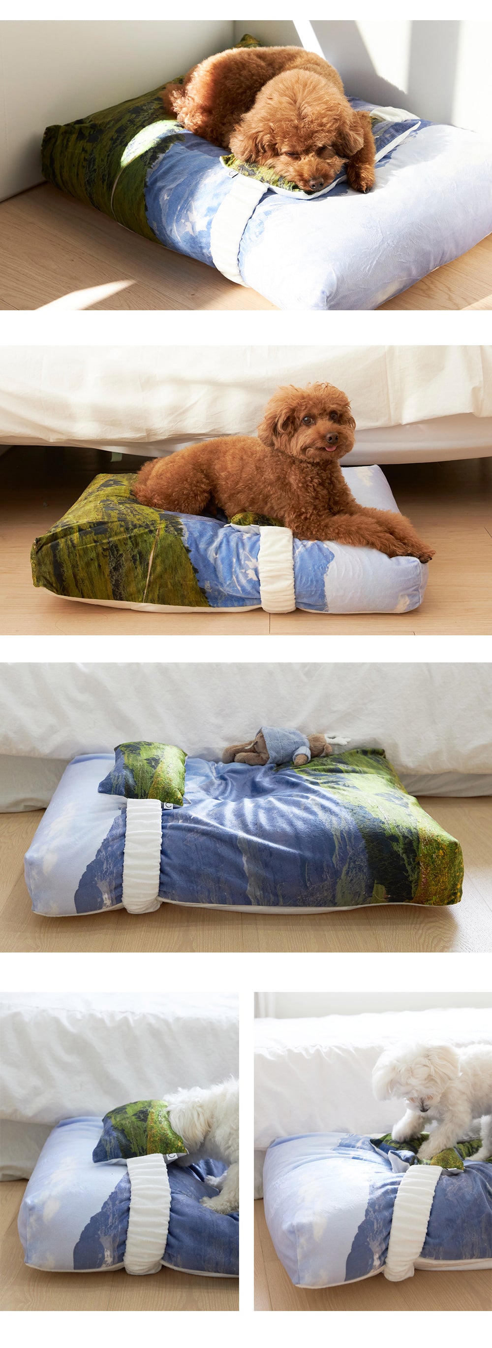 Swiss enjoy pet cushion