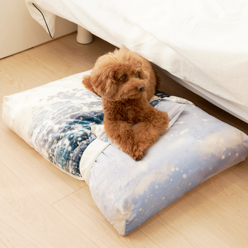 Jeju westcoast pet cushion