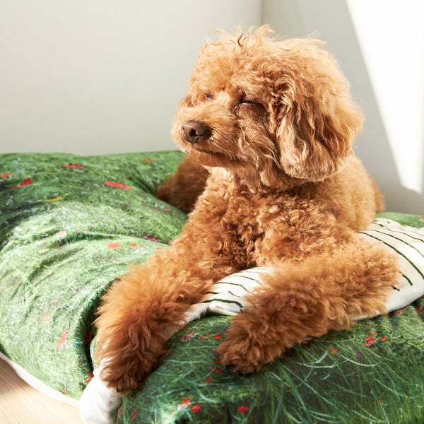 Suncheon blossom pet cushion