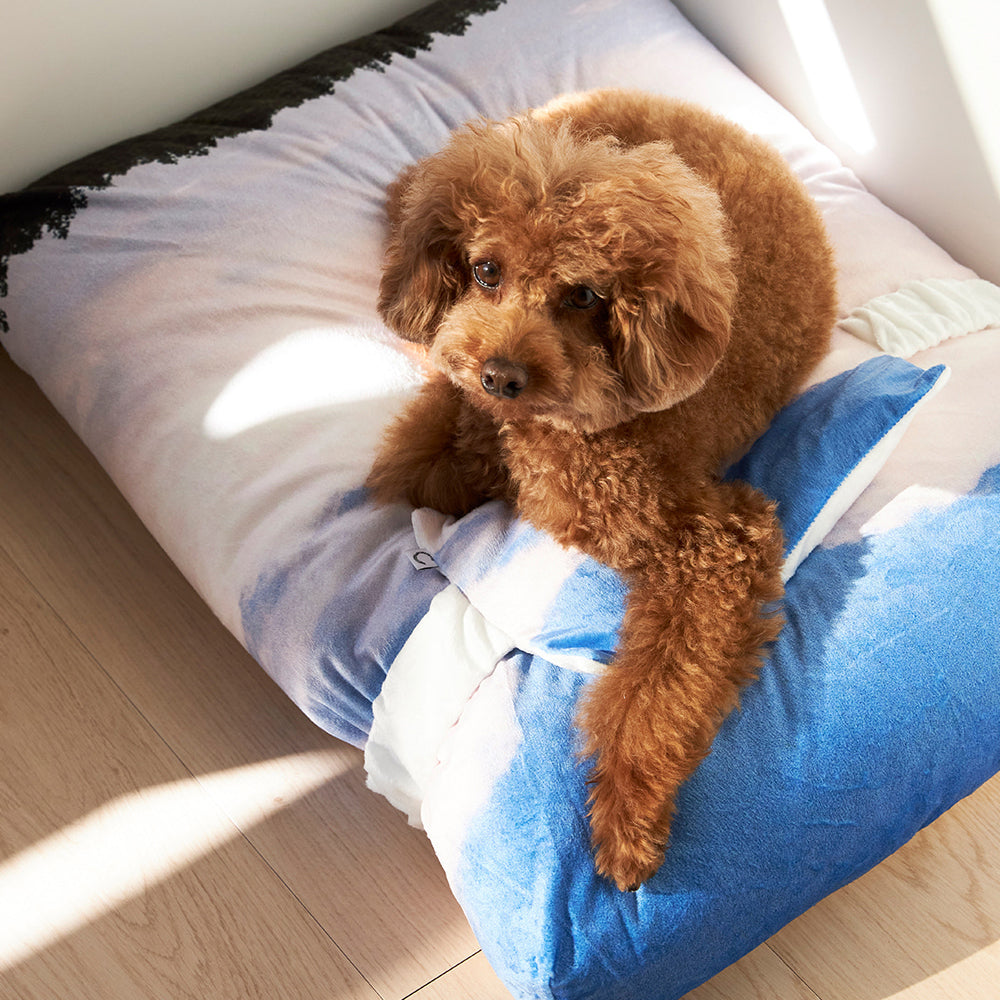 Jeju landscape pet cushion