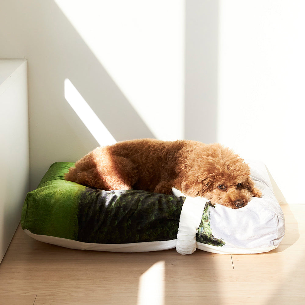 Jeju orrum pet cushion