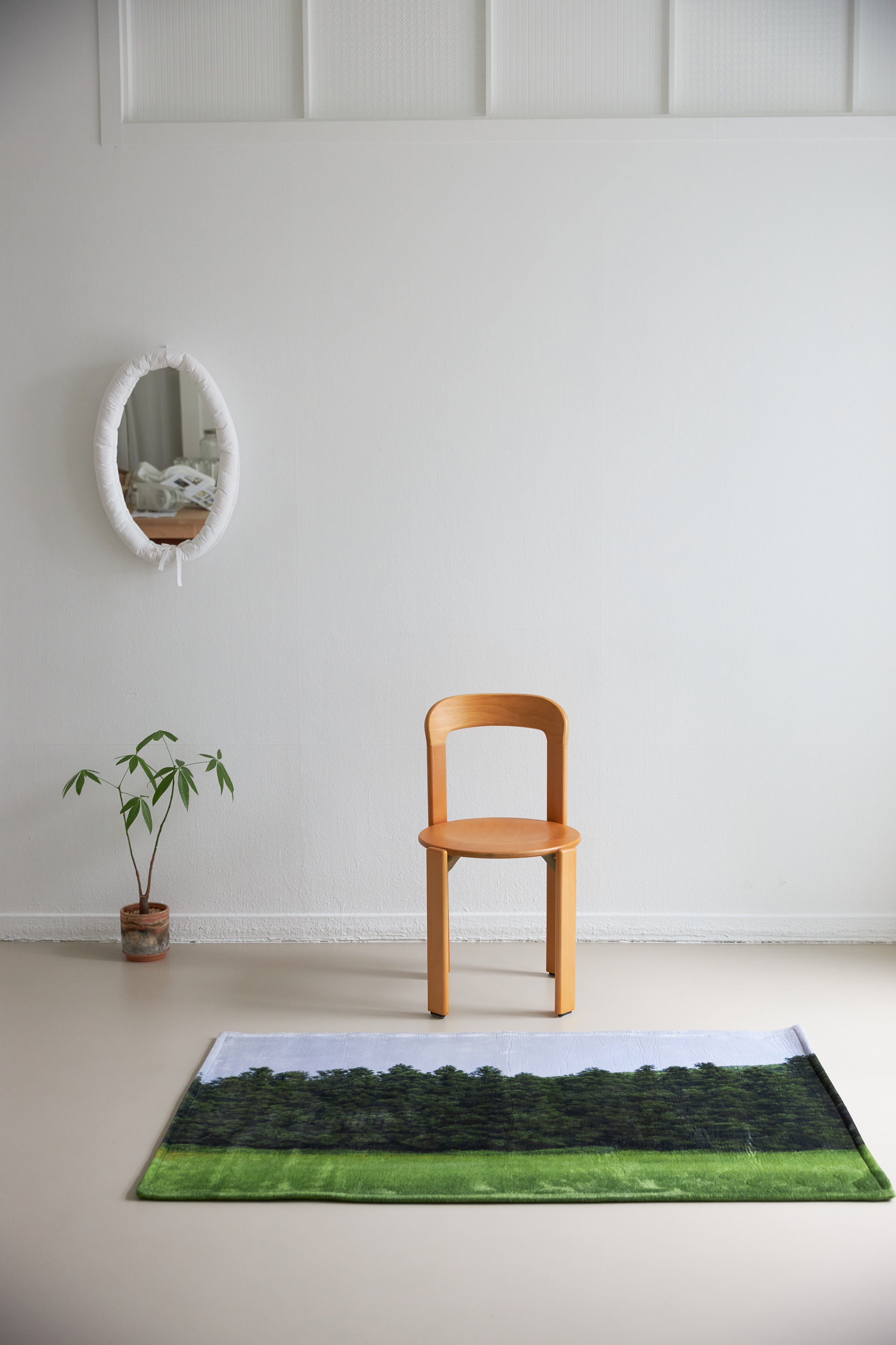 Jeju orrum rug